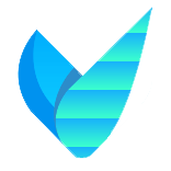 Логотип Vidmore