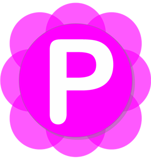 логотип программы Pamela for Skype