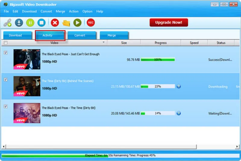 Скриншот программы Bigasoft Video Downloader 3