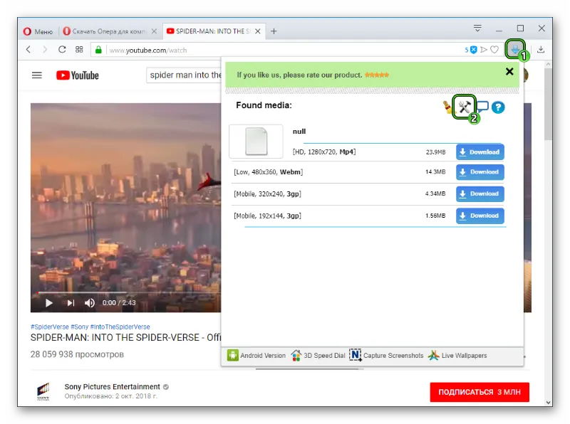 Скриншот программы Flash Video Downloader 5