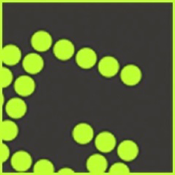 Логотип GreenShot