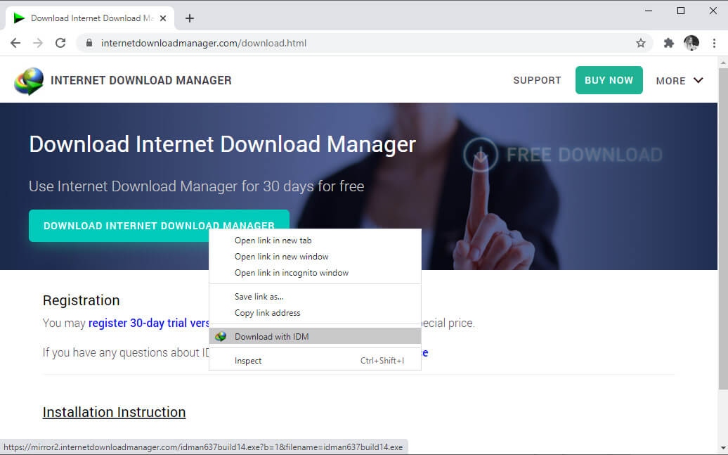 Скриншот программы Internet Download Manager 5