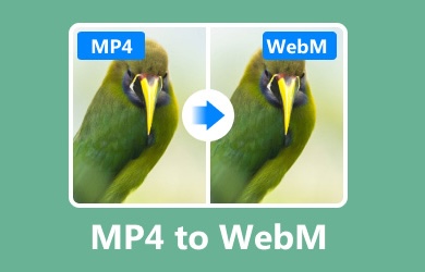 Как переделать MP4 в WebM