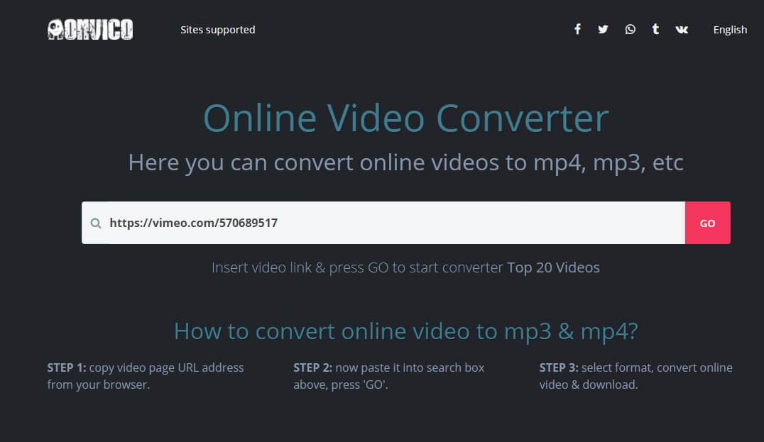 Online Video Converter 2