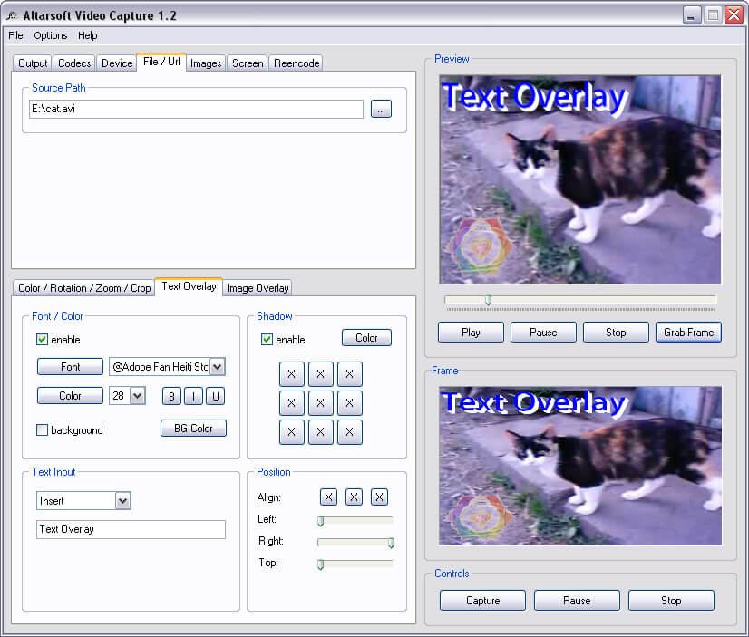 Скриншот 4 программы Altarsoft Video Capture 