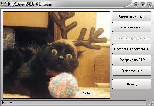 Скриншот программы live-webcam 1