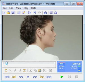Скриншот программы Machete Video Editor