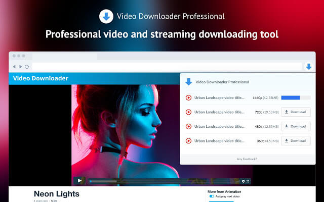 Скриншот программы Video Downloader