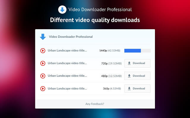 Скриншот программы Video Downloader Professional