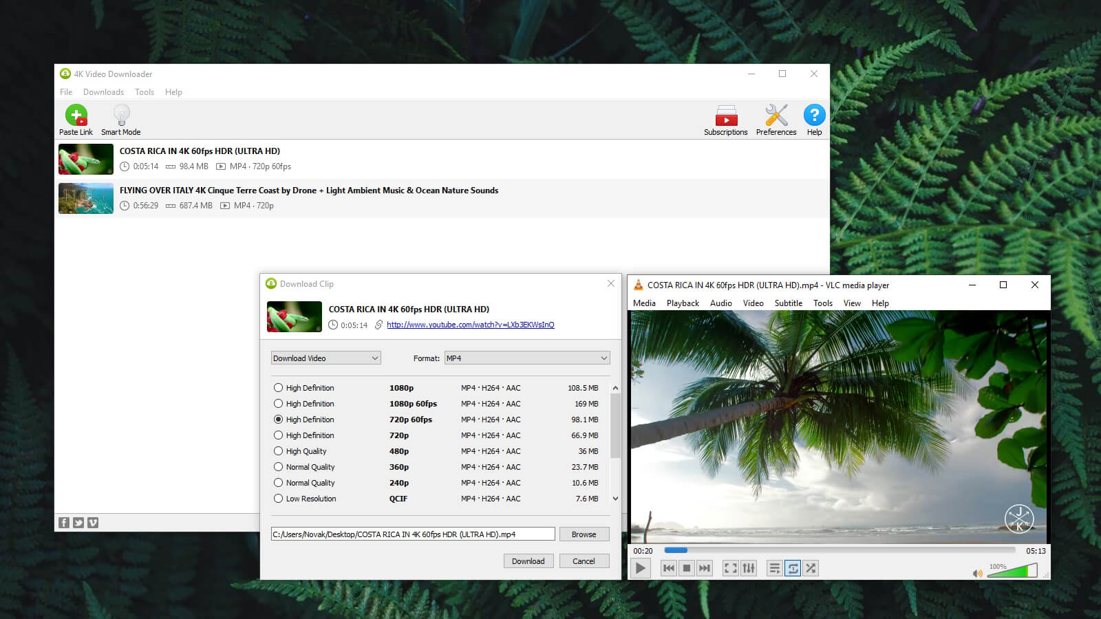 программа 4K Video Downloader для записи с ютуба
