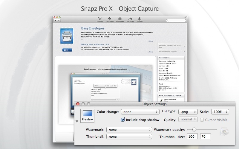 Скриншот интерфейса Snapz Pro X 1