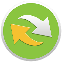 Логотип Replay Converter