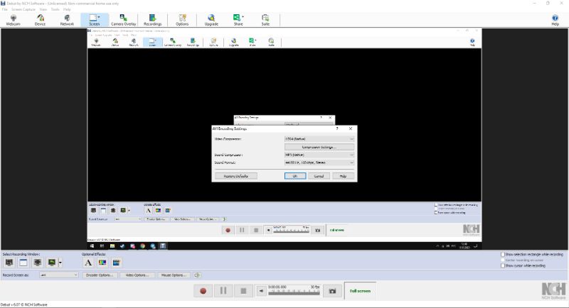 Скриншот интерфейса Debut Video Capture 2