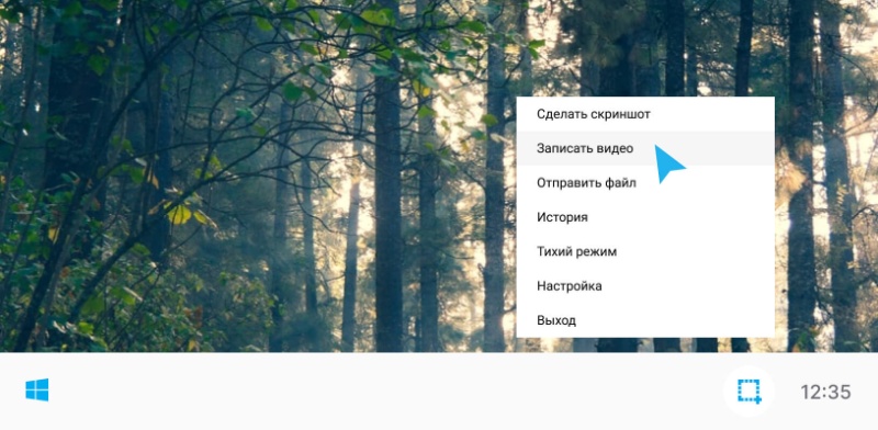 Скриншот интерфейса Скриншотер.рф 1
