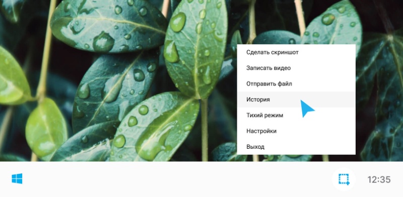 Скриншот интерфейса Скриншотер.рф 2