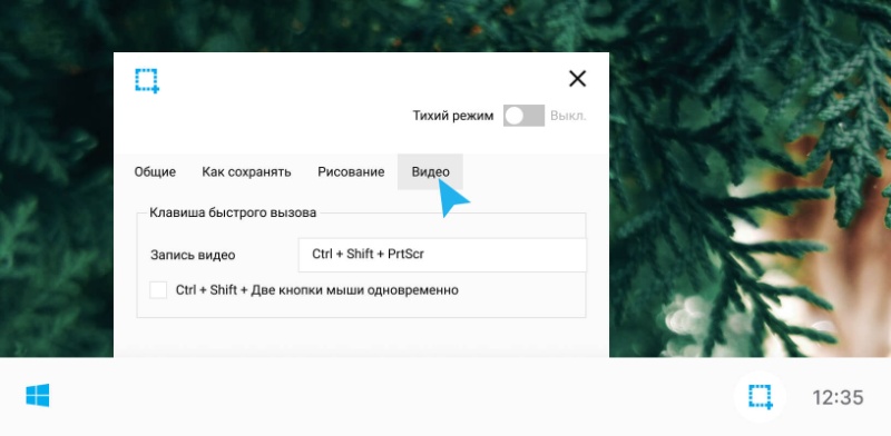 Скриншот интерфейса Скриншотер.рф 4