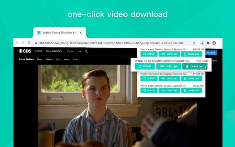 Скриншот программы Video Downloader for Web
