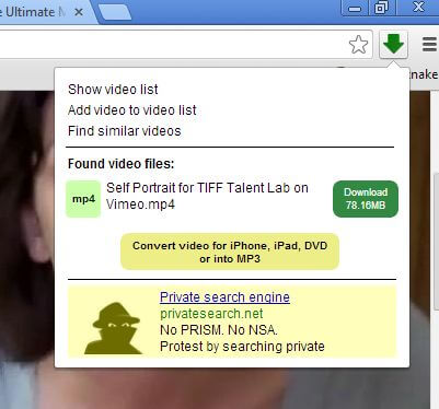 Скриншот программы Video Downloader Professional 2