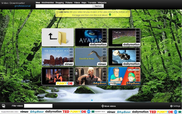 Скриншот программы Video Downloader Professional 3