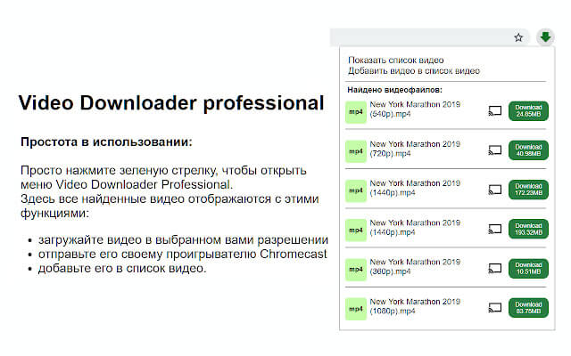 Скриншот программы Video Downloader Professional 4