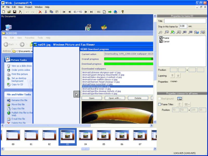 Скриншот программы Wink Screen Recorder 3