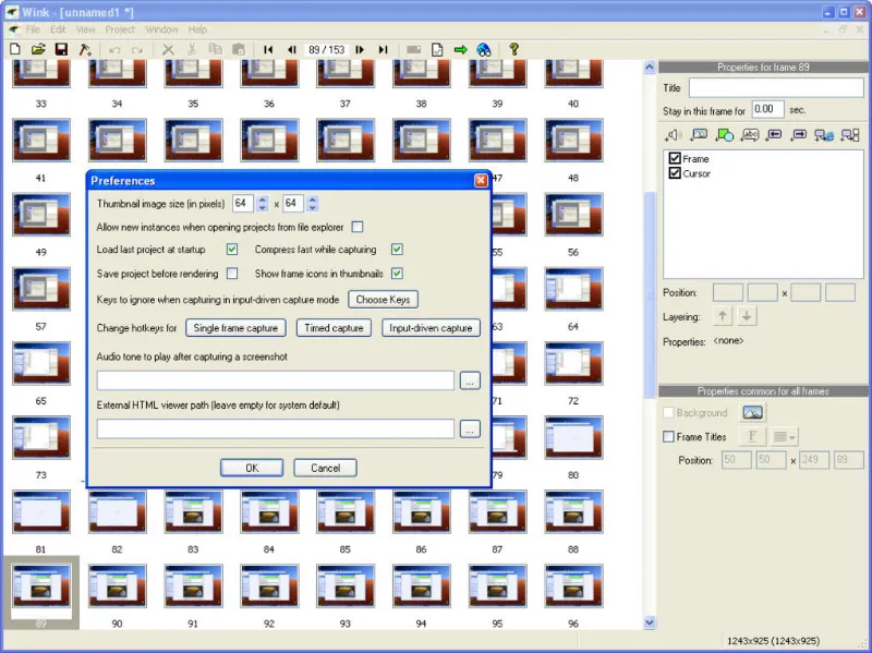 Скриншот программы Wink Screen Recorder 4