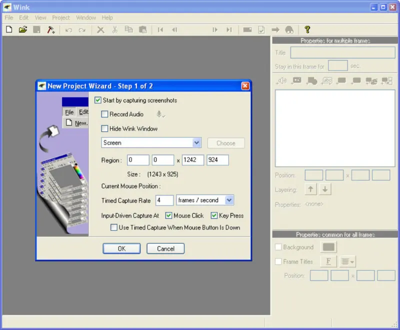 Скриншот программы Wink Screen Recorder 5