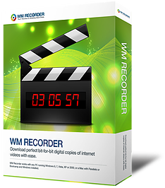 Логотип программы WM Recorder