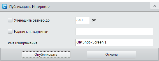 Скриншот программы QIP Shot