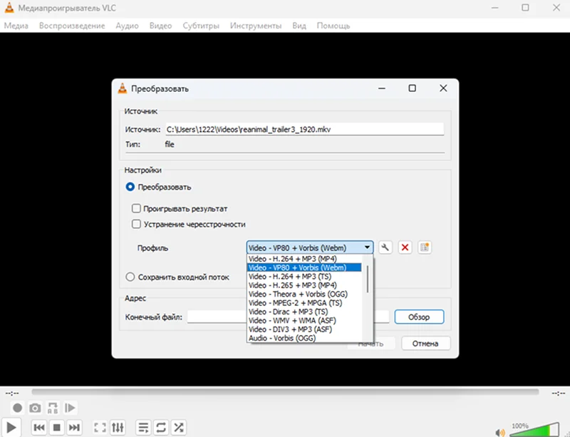 конвертер mp4 в divx